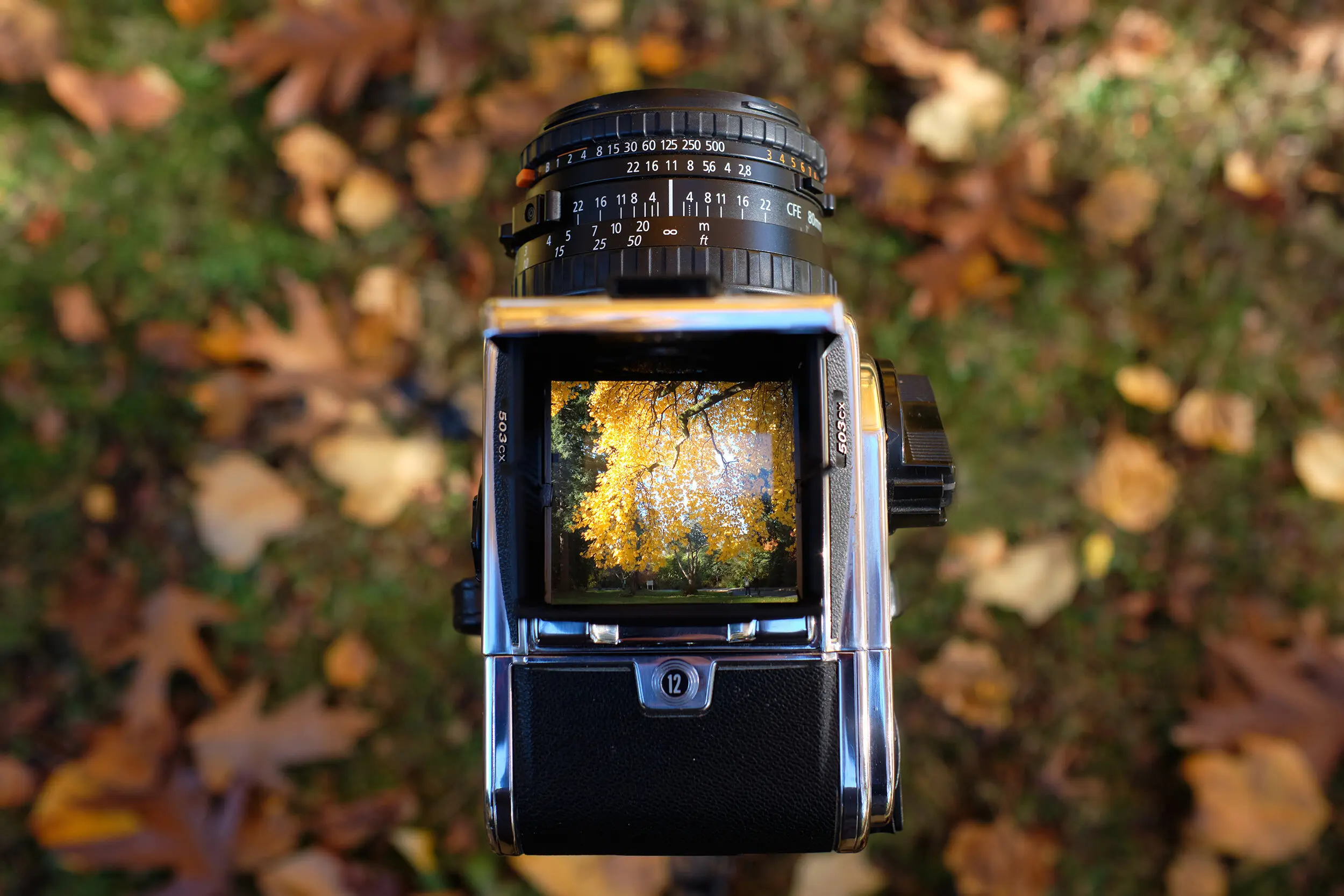 hasselblad-503cx-review.webp