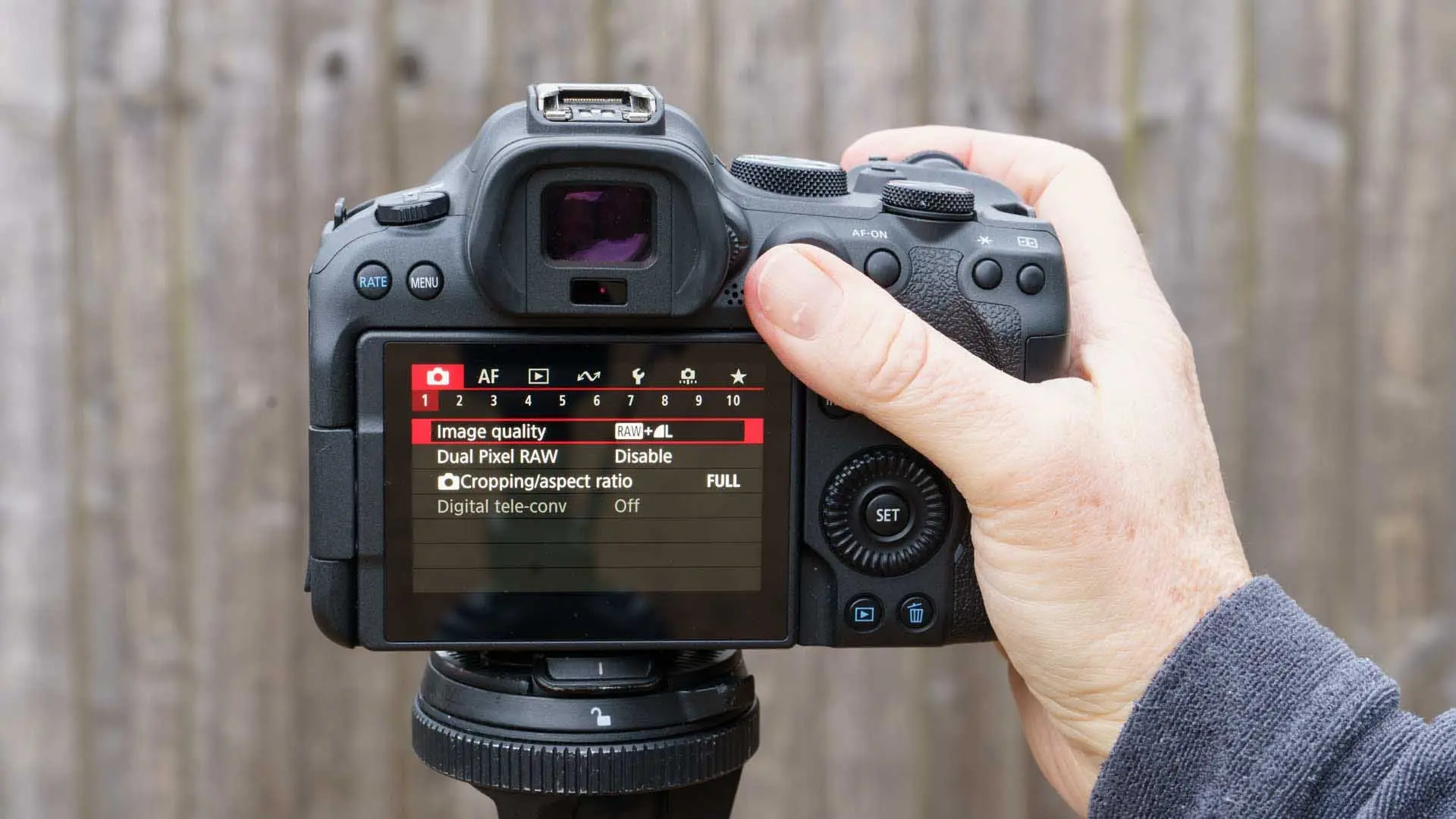 canon-eos-r6-mark-ii-review-sheclicks-_dsc5462.webp