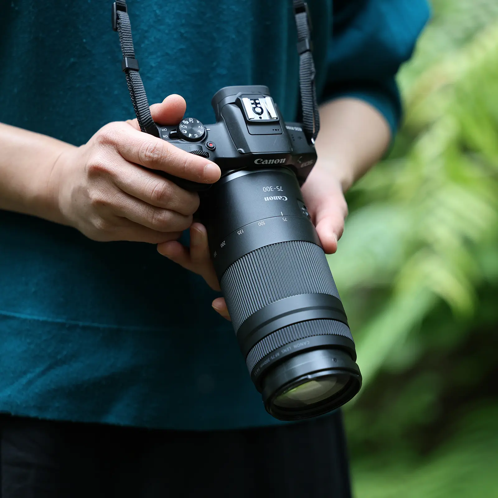 5 Kelebihan Lensa Canon RF 75-300mm F4-5.6 yang Harus Kamu Ketahui.