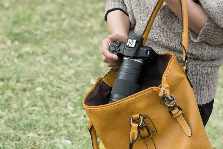 Ini Dia Hasil Foto Keren Dari Lensa Canon RF 75-300mm F4-5.6.