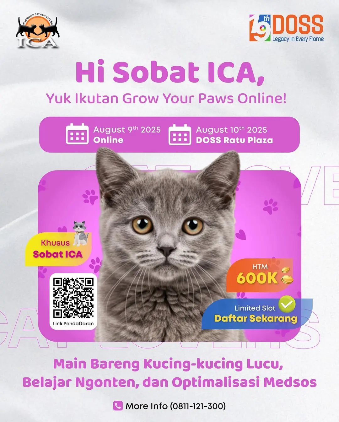 Yuk Ikutan Event Grow Your Paws Online: Workshop Untuk Bikin Konten Kucing yang Keren dan Menjual.