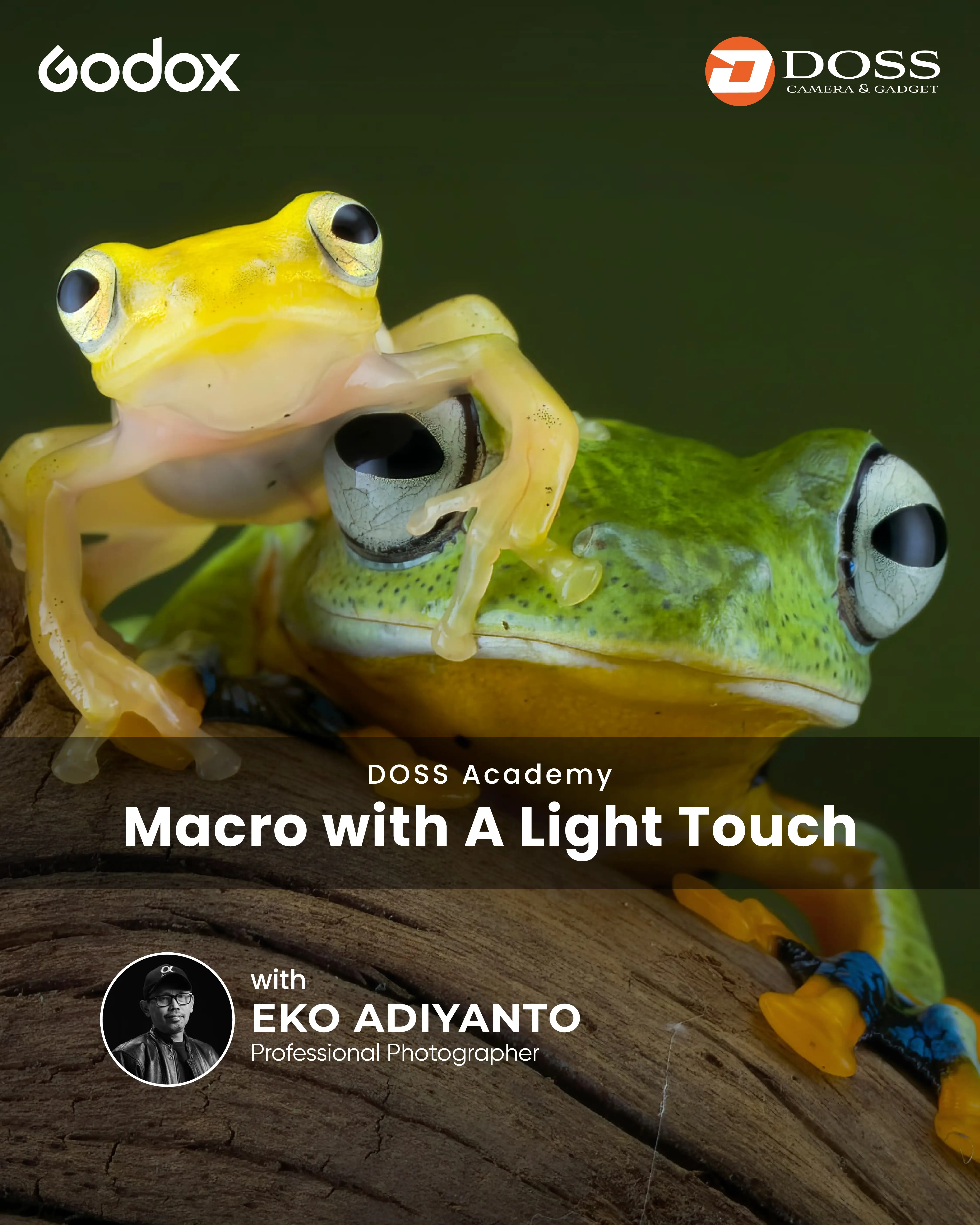 JKT - Macro with A Light Touch