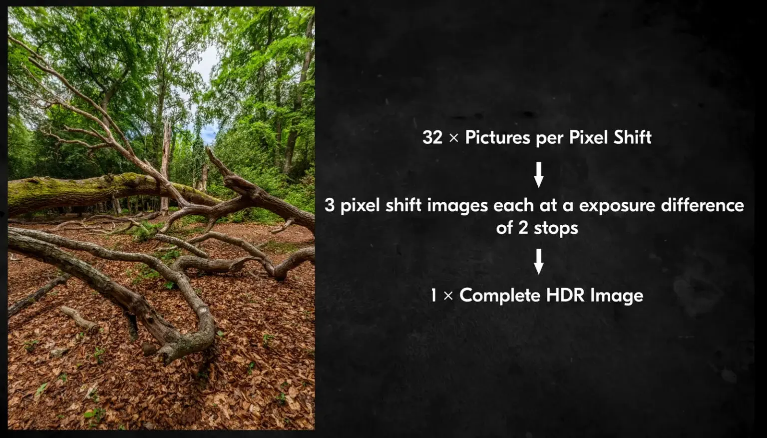 nikon-z8-firmware-3-4-1536x877.webp