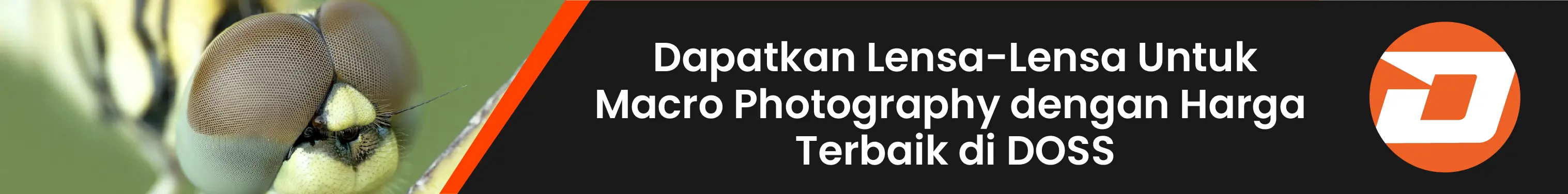 click buy 9 Juni_FYI.webp