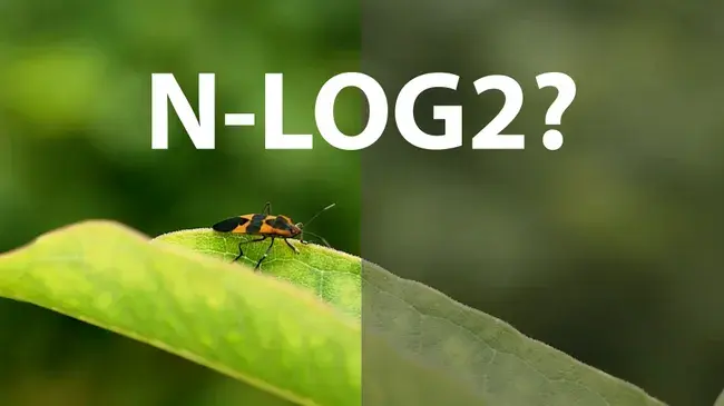 Nikon Rumor: Tim Nikon sedang Menguji N-Log2? Begini Penjelasannya.