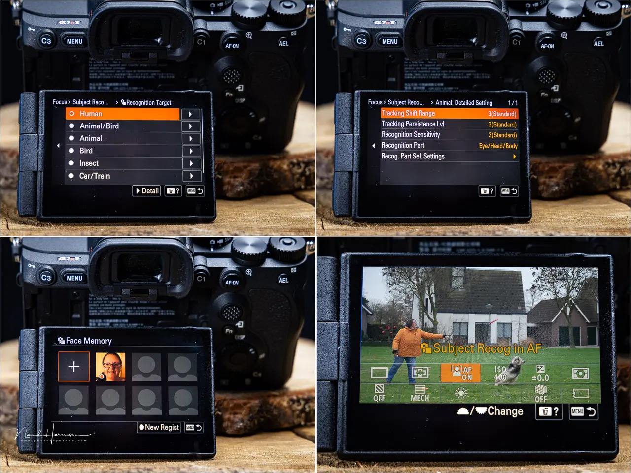 nando-sony-a7rv-9.webp