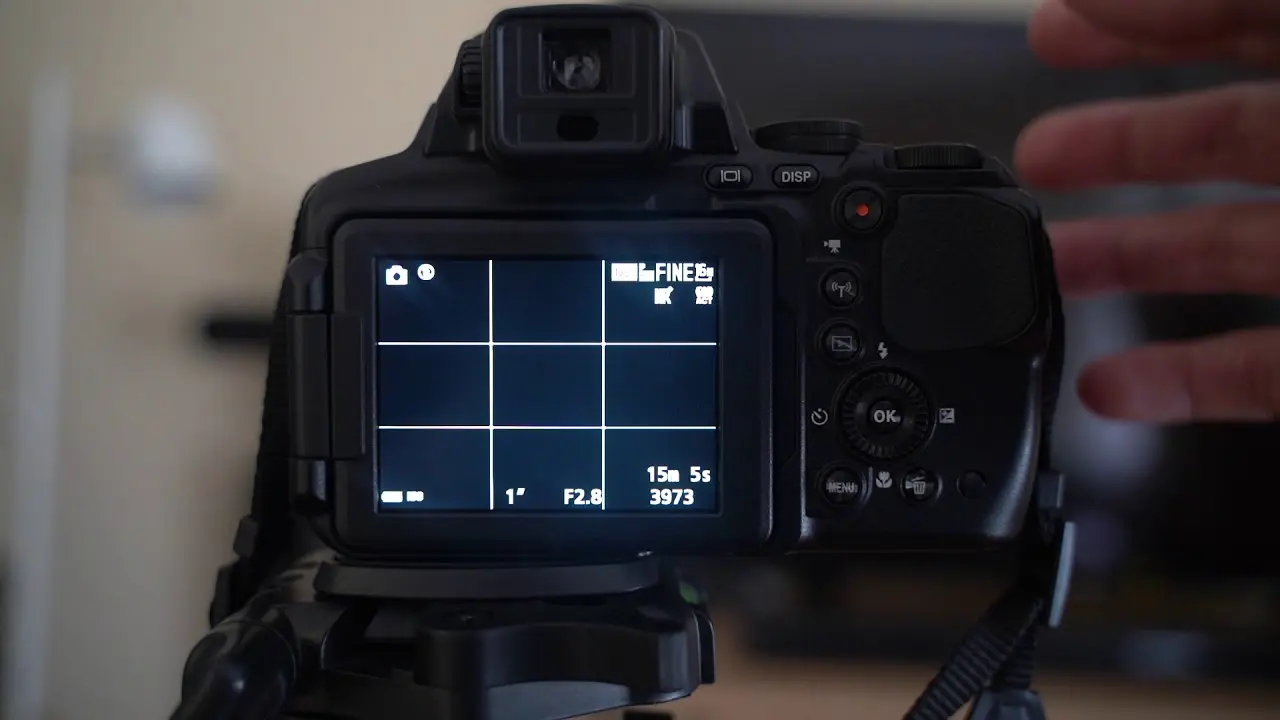 5 Fungsi Gridlines Di Layar Kamera Mirrorless yang Harus Kamu Tahu.