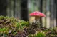 Ini 10 Istilah Unik Macro Photography yang Harus Kamu Tahu