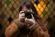 Ini Dia 7 Kelebihan Kamera Nikon Z5 II yang Harus Kamu Tahu