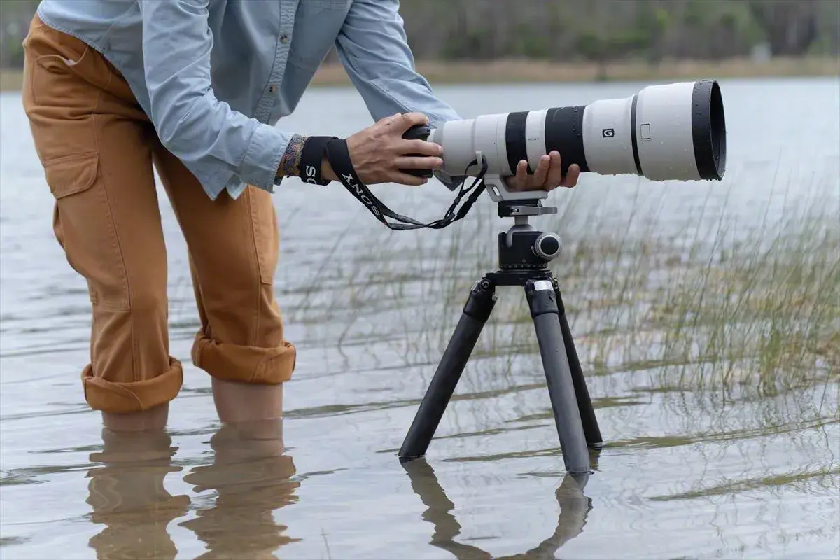 Sony FE 400-800mm F6.3-8 G OSS: Lensa Super-Telefoto Ideal untuk Birding, Wildlife, dan Sport Photography.